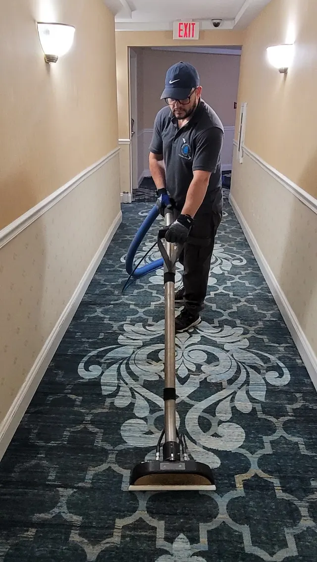 Sherlock Holmes Cleaning Services — photo from the business 6