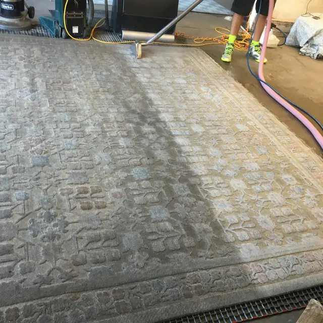 The Carpet Solution Inc. — photo from the business 5