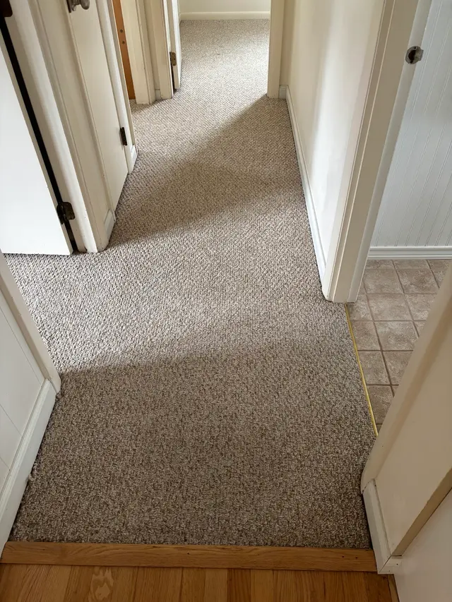 The Carpet Solution Inc. — customer photo 1