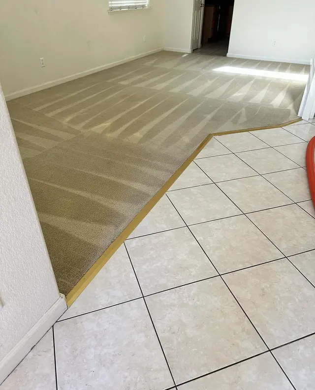 Aladdin's Carpet and Upholstery Cleaning — photo from the business 10