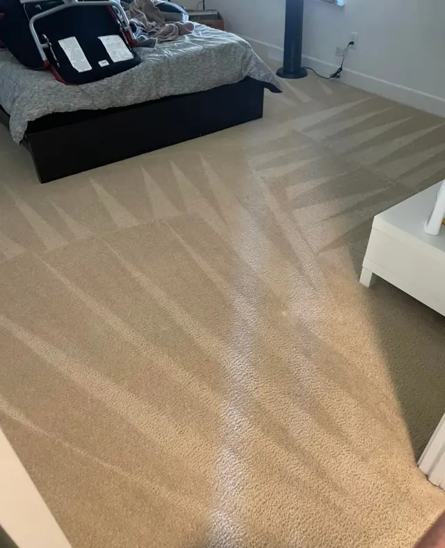 Aladdin's Carpet and Upholstery Cleaning — photo from the business 2