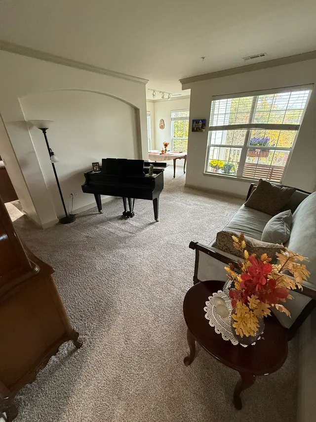 Aladdin's Carpet and Upholstery Cleaning — photo from the business 9