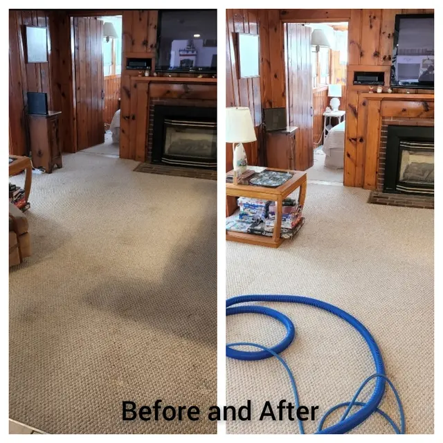 Cape Cod Carpet Cleaning Service — photo from the business 4
