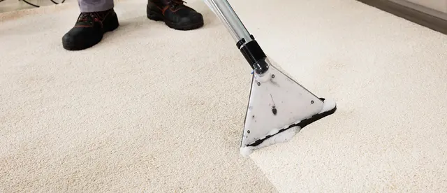 Cape Cod Carpet Cleaning Service — photo from the business 1