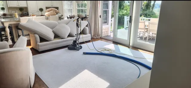 Cape Cod Carpet Cleaning Service — photo from the business 8