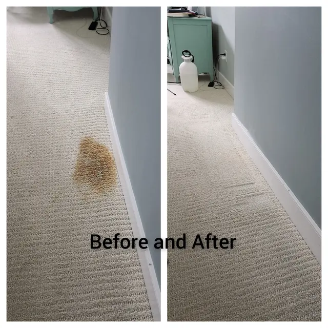Cape Cod Carpet Cleaning Service — photo from the business 2