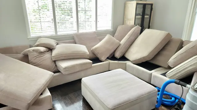 Cape Cod Carpet Cleaning Service — photo from the business 3