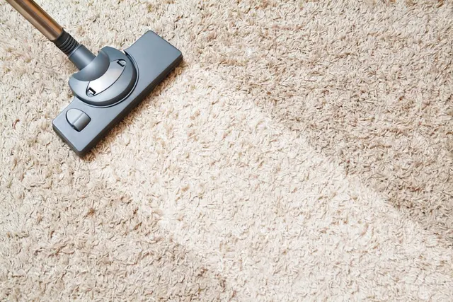 Cape Cod Carpet Cleaning Service — photo from the business 5