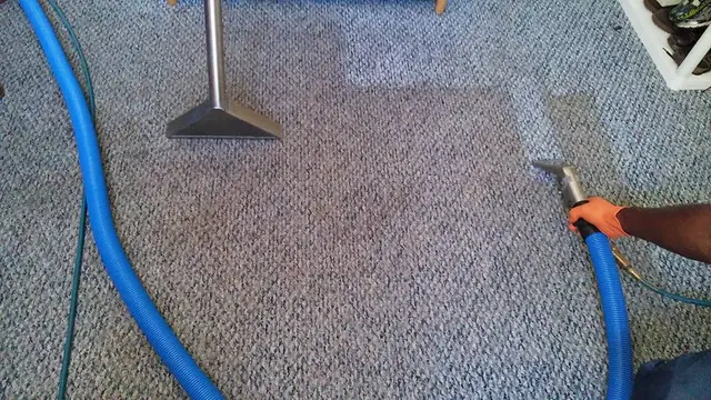 Cape Cod Carpet Cleaning Service — photo from the business 11