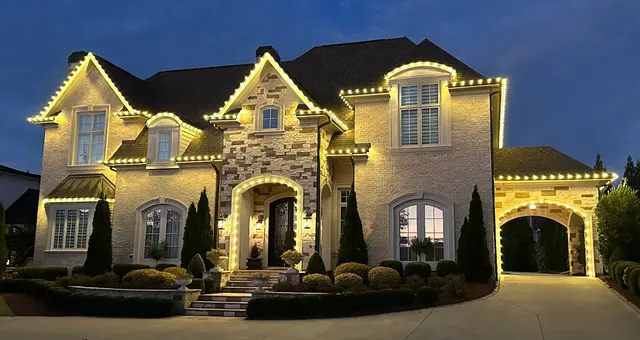 Walters Holiday Lighting — photo from the business 10