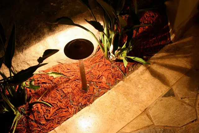 Outdoor Lighting Perspectives of Greenville — photo from the business 8