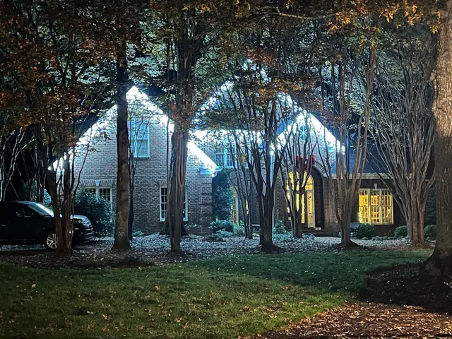 Humbug Lighting of Greenville — photo from the business 11