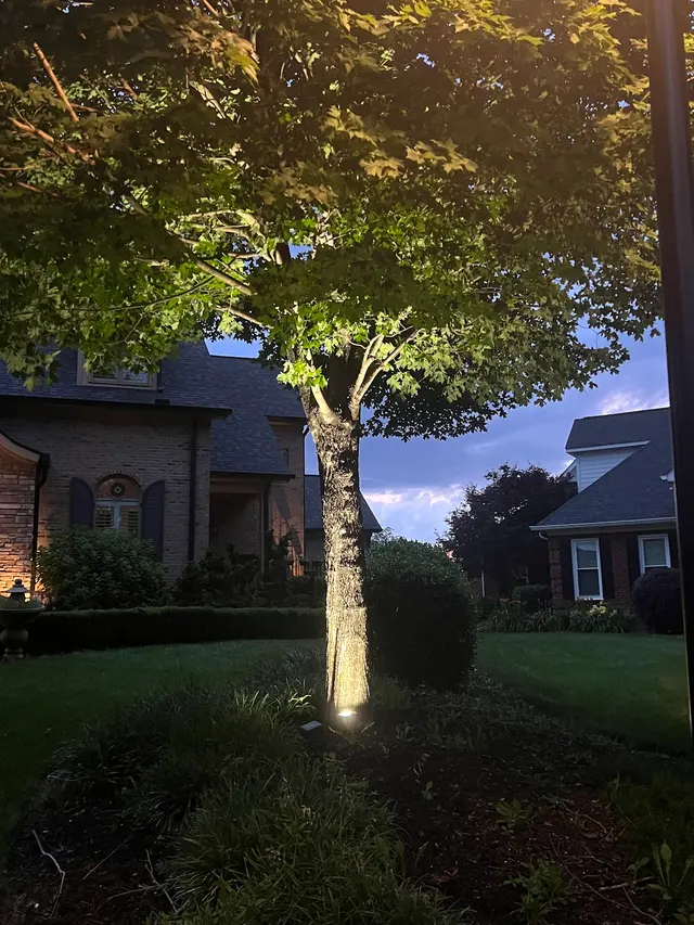 Humbug Lighting of Greenville — photo from the business 6