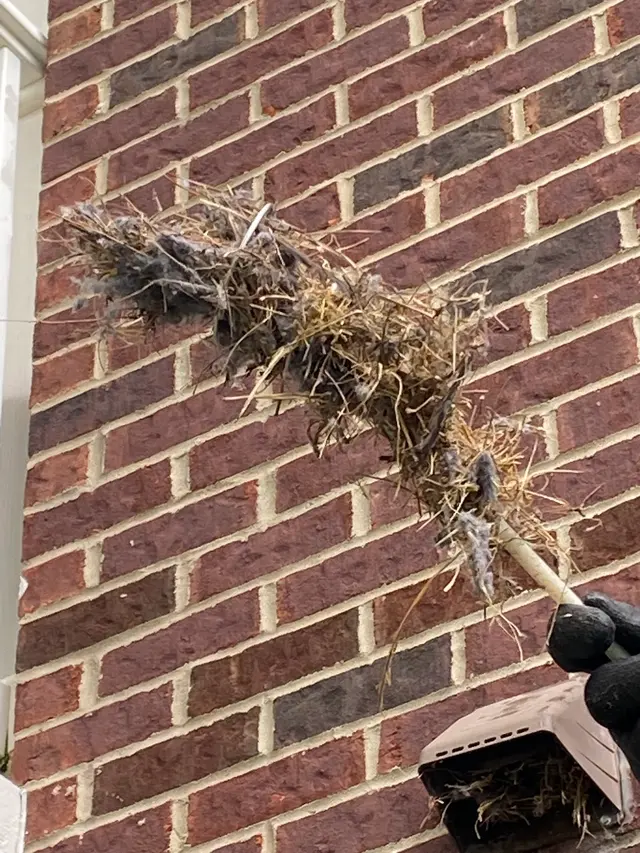 Dryer Vent Squad of Louisville, KY — photo from the business 12