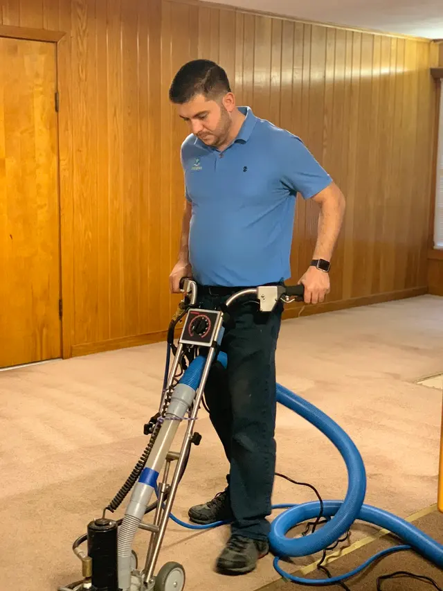 Rodriguez Cleaning and Restoration Services — photo from the business 11
