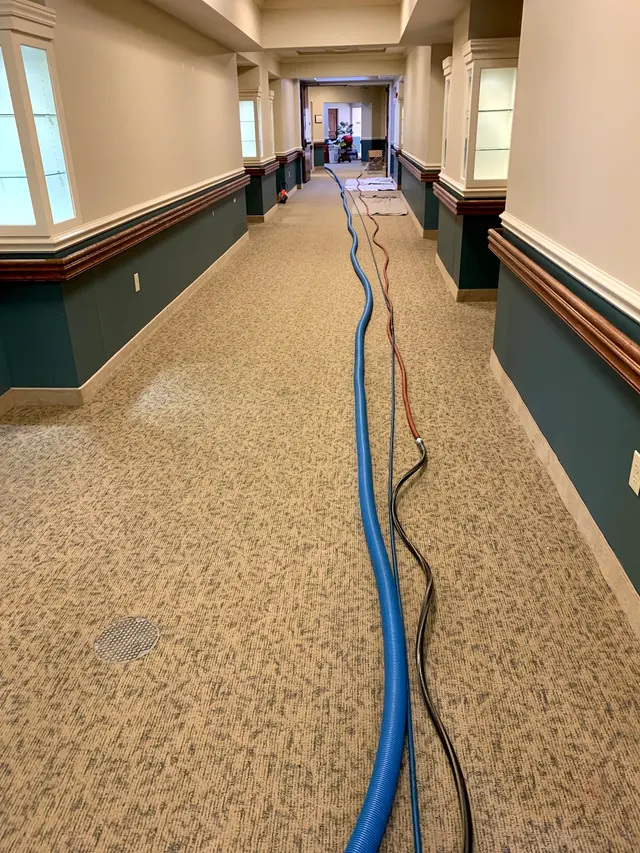 Rodriguez Cleaning and Restoration Services — photo from the business 10