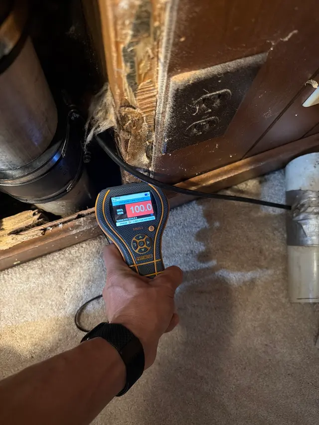 Rodriguez Cleaning and Restoration Services — photo from the business 6
