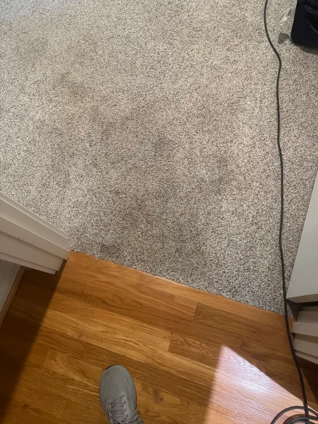 Dauenhauer Plumbing Heating Air & Electric — customer photo 7