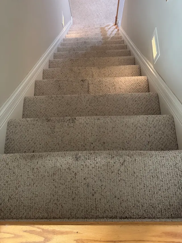 Dauenhauer Plumbing Heating Air & Electric — customer photo 10