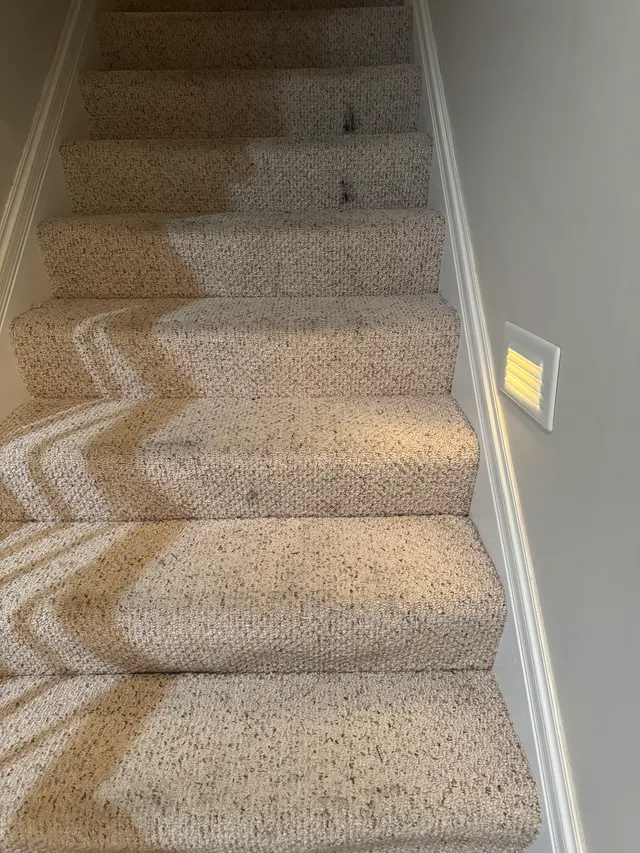 Dauenhauer Plumbing Heating Air & Electric — customer photo 11