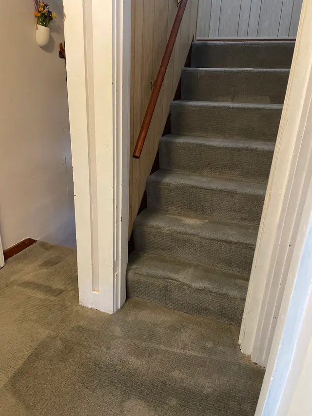 Stanley Steemer — customer photo 3