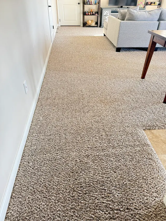Stanley Steemer — customer photo 2