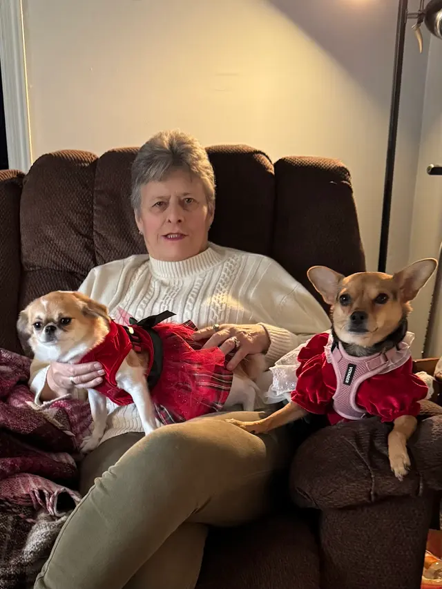 Stanley Steemer — customer photo 11