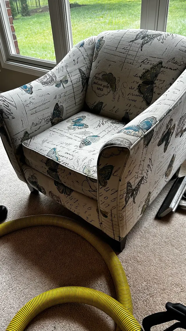 Stanley Steemer — customer photo 6