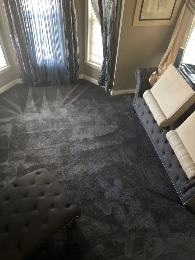 Stanley Steemer — customer photo 8