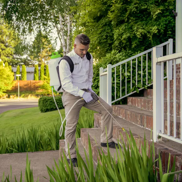 Natura Pest Control - Portland — photo from the business 4