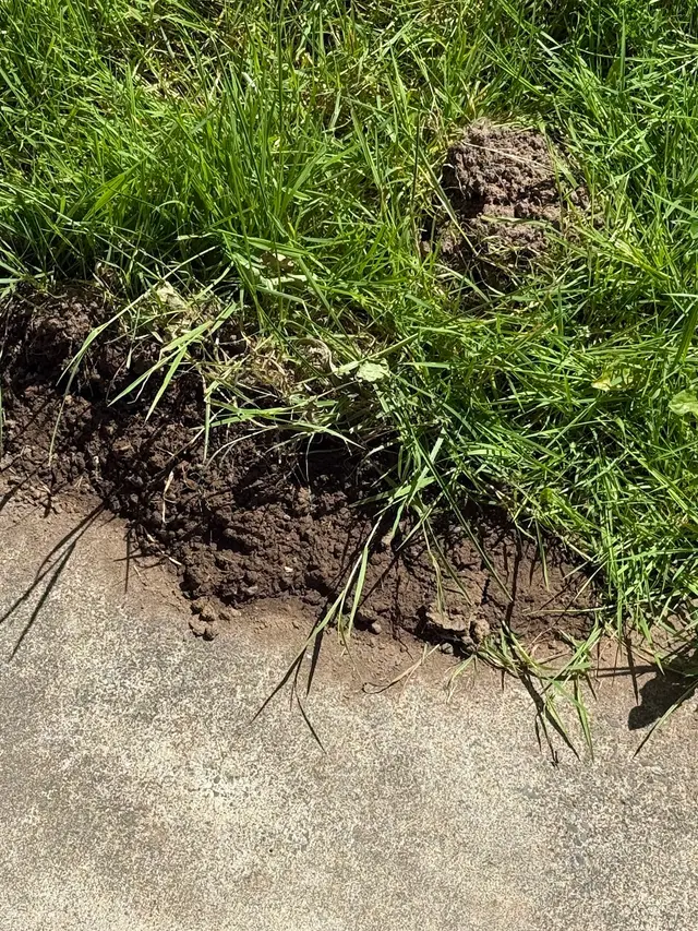 Natura Pest Control - Portland — customer photo 9
