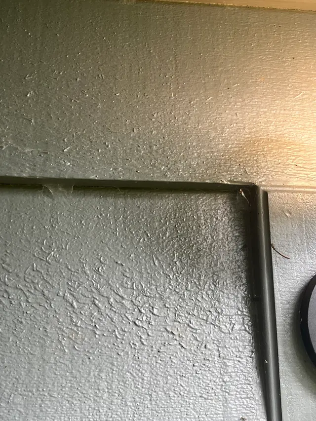 Natura Pest Control - Portland — customer photo 10