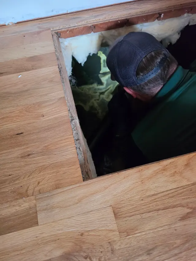 Natura Pest Control - Portland — customer photo 5