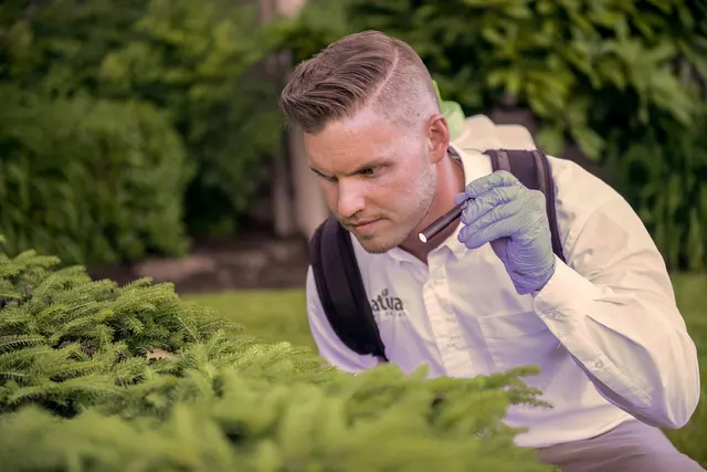 Natura Pest Control - Portland — photo from the business 8