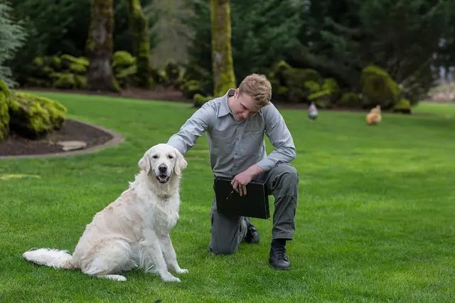 Aspen Pest Control Portland — photo from the business 6