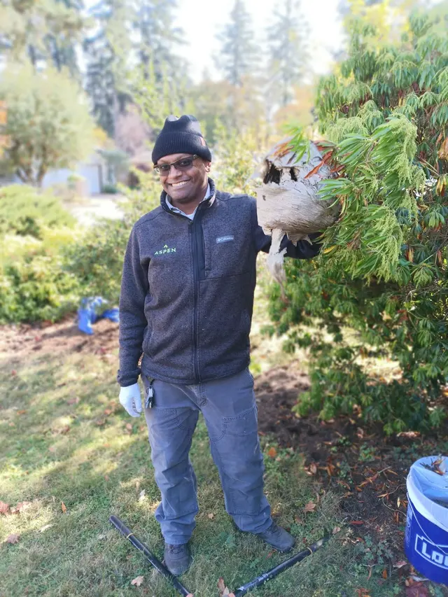 Aspen Pest Control Portland — customer photo 5