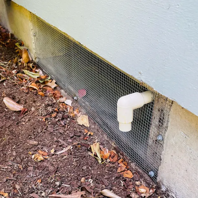 Campbell Natural Pest Control — photo from the business 2
