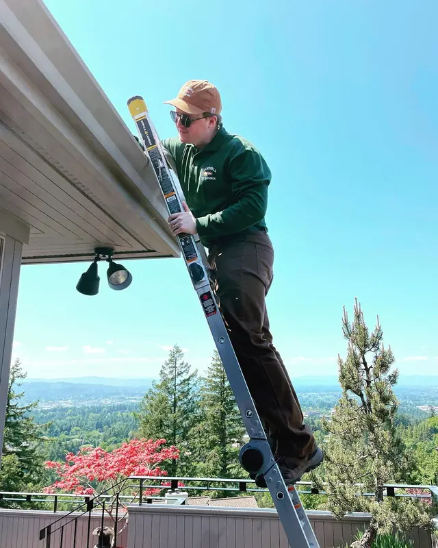 Campbell Natural Pest Control — photo from the business 3