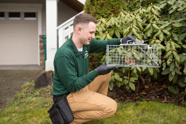 Campbell Natural Pest Control — photo from the business 11