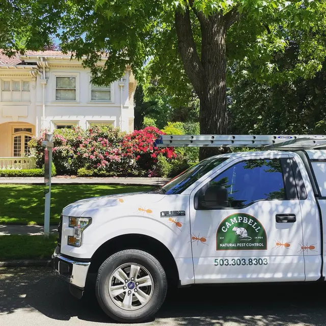 Campbell Natural Pest Control — photo from the business 5