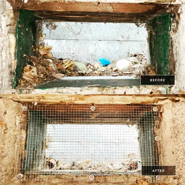 Campbell Natural Pest Control — photo from the business 10