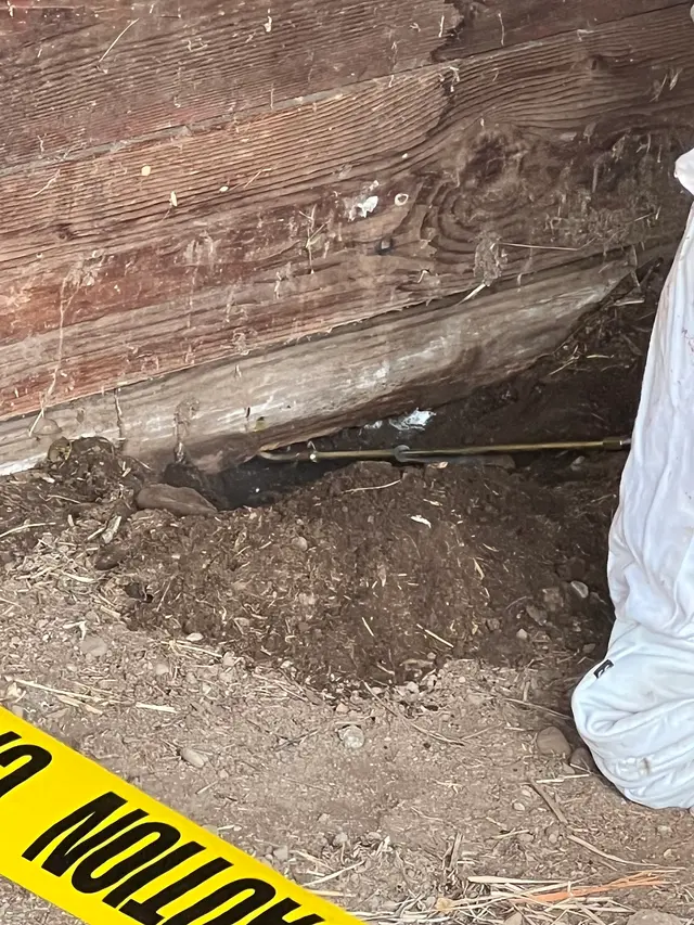 Kanga Pest Control - Portland — customer photo 12