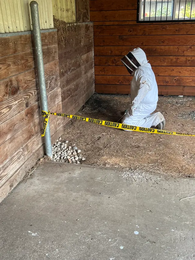 Kanga Pest Control - Portland — customer photo 8