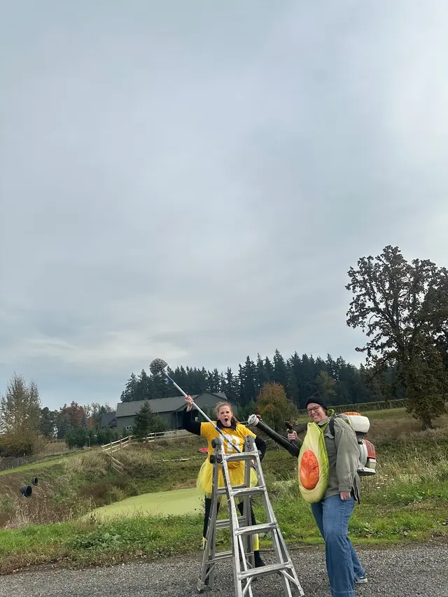 Kanga Pest Control - Portland — photo from the business 2