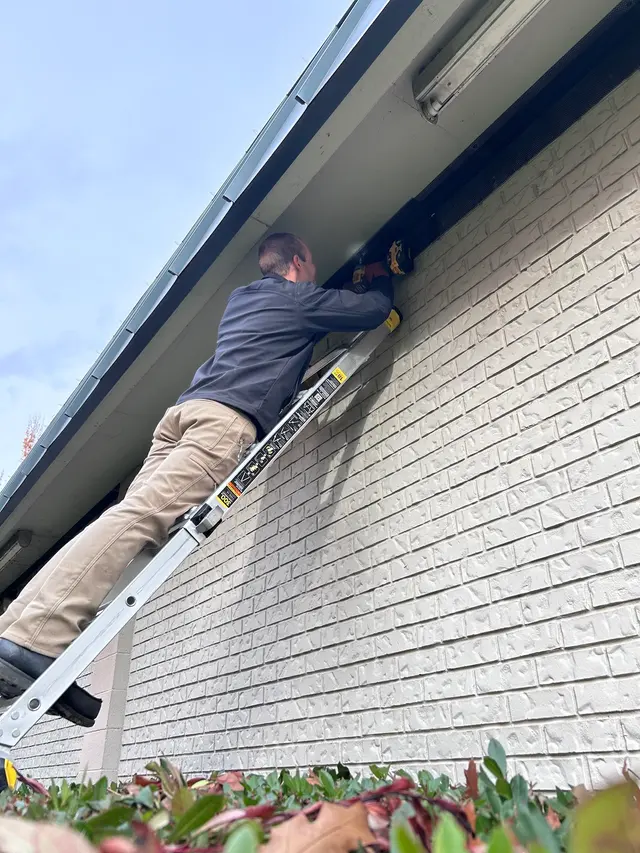 Kanga Pest Control - Portland — photo from the business 3