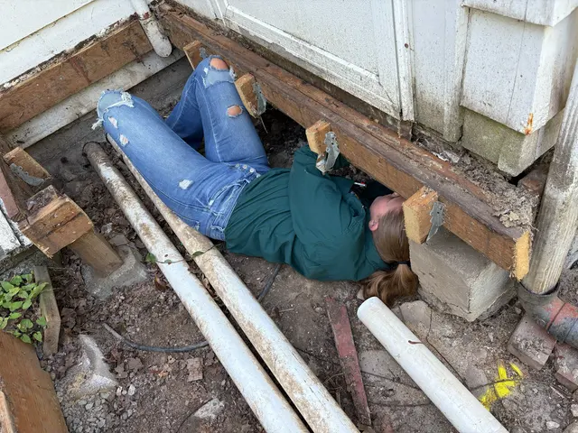 Kanga Pest Control - Portland — photo from the business 5