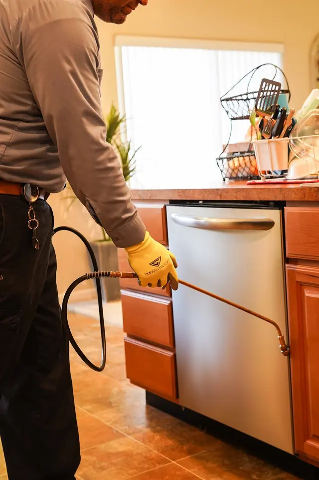 Insight Pest Control - Portland — photo from the business 11