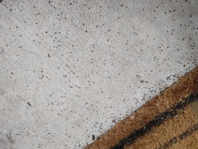 Pointe Pest Control - Portland — customer photo 7