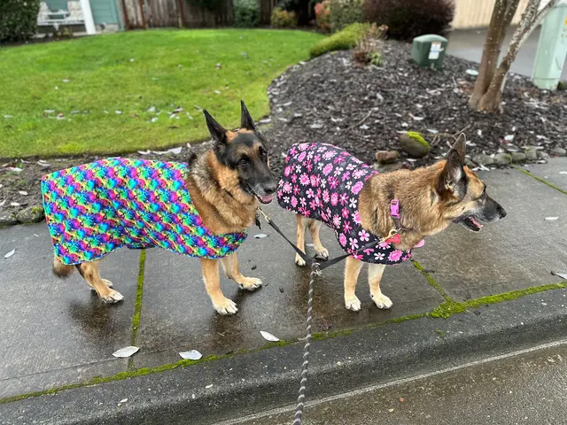 Pointe Pest Control - Beaverton — customer photo 5