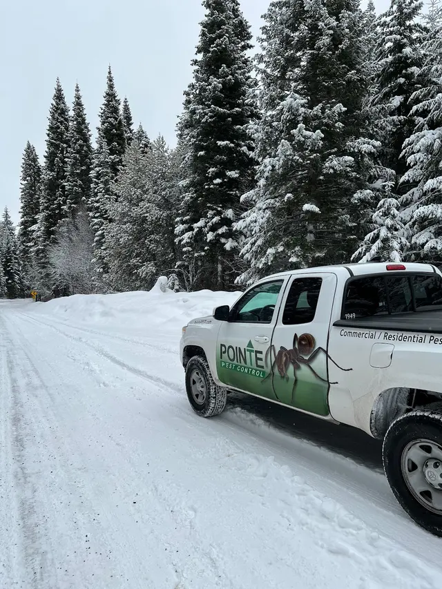 Pointe Pest Control - Beaverton — photo from the business 2